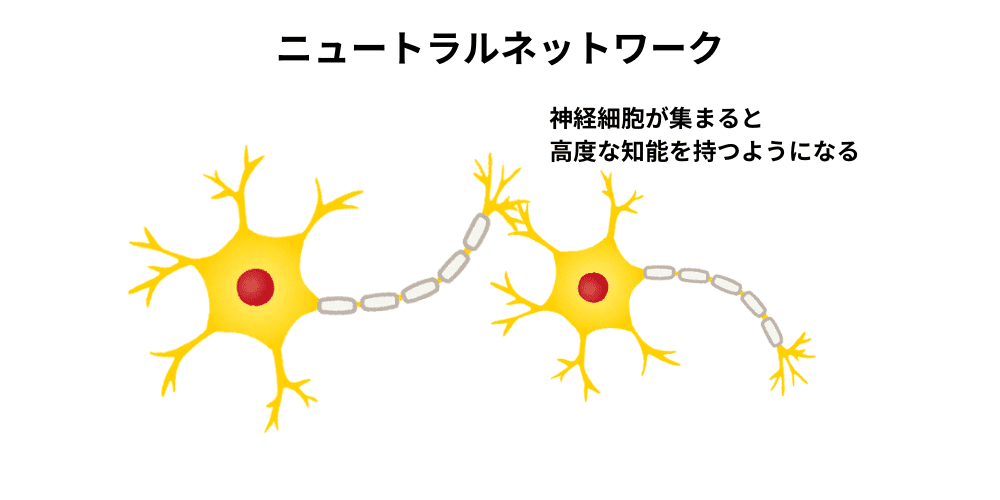 neural network
