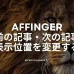 affinger-before-after-kiji
